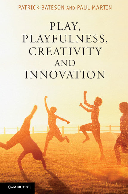 Play, Playfulness, Creativity and Innovation (Paperback / softback) 9781107689343