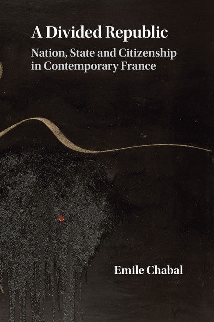 A Divided Republic; Nation, State and Citizenship in Contemporary France (Paperback / softback) 9781107692879