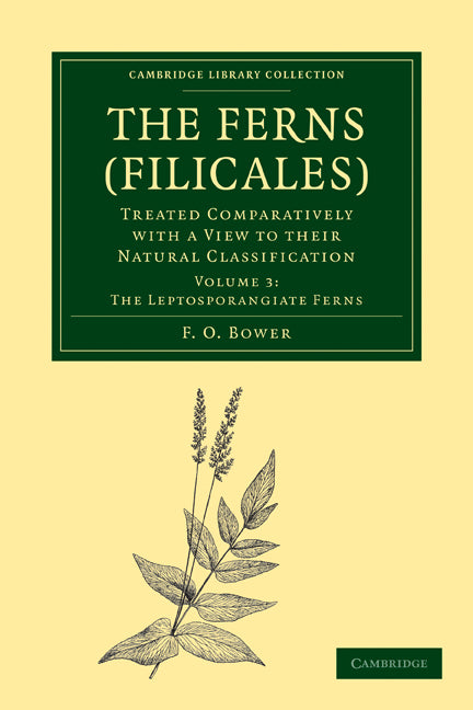The Ferns (Filicales): Volume 3, The Leptosporangiate Ferns; Treated Comparatively with a View to their Natural Classification (Paperback / softback) 9781108013185