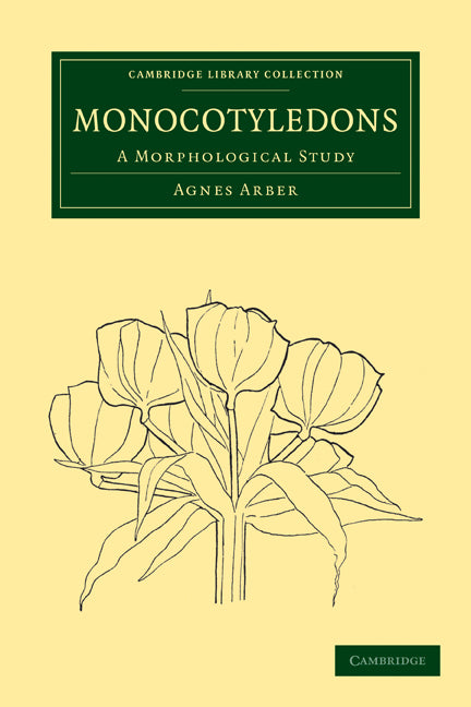 Monocotyledons; A Morphological Study (Paperback / softback) 9781108013208
