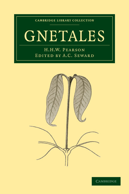 Gnetales (Paperback / softback) 9781108013987