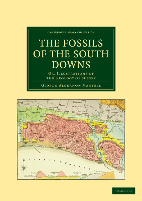 The Fossils of the South Downs; Or, Illustrations of the Geology of Sussex (Paperback / softback) 9781108021098