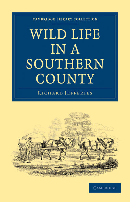 Wild Life in a Southern County (Paperback / softback) 9781108025355