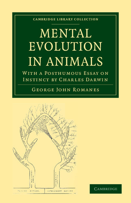 Mental Evolution in Animals; With a Posthumous Essay on Instinct by Charles Darwin (Paperback / softback) 9781108037877