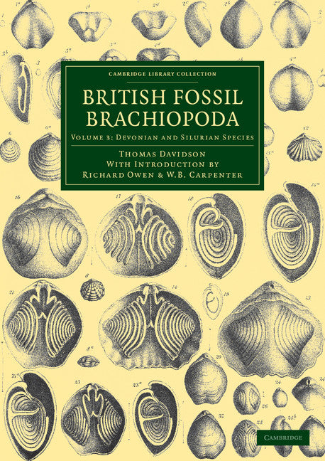 British Fossil Brachiopoda (Paperback / softback) 9781108038195