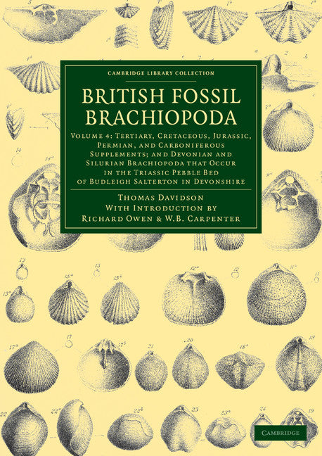 British Fossil Brachiopoda (Paperback / softback) 9781108038201