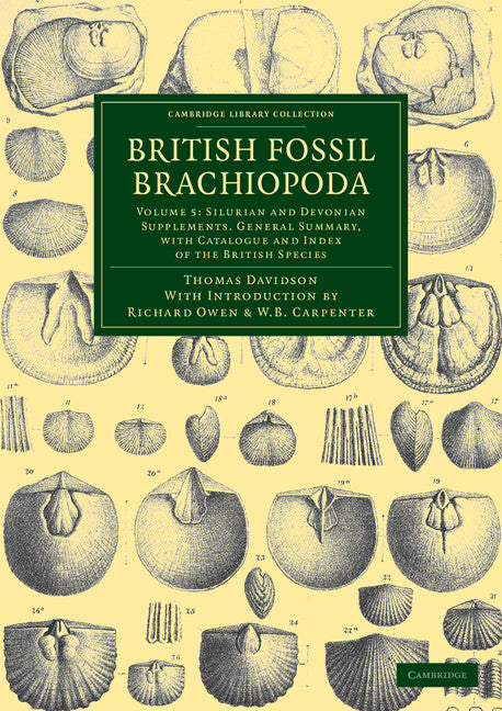 British Fossil Brachiopoda (Paperback / softback) 9781108038218