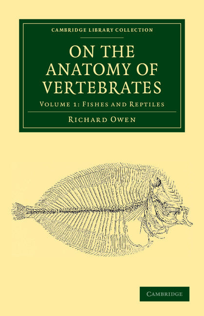 On the Anatomy of Vertebrates (Paperback / softback) 9781108038256