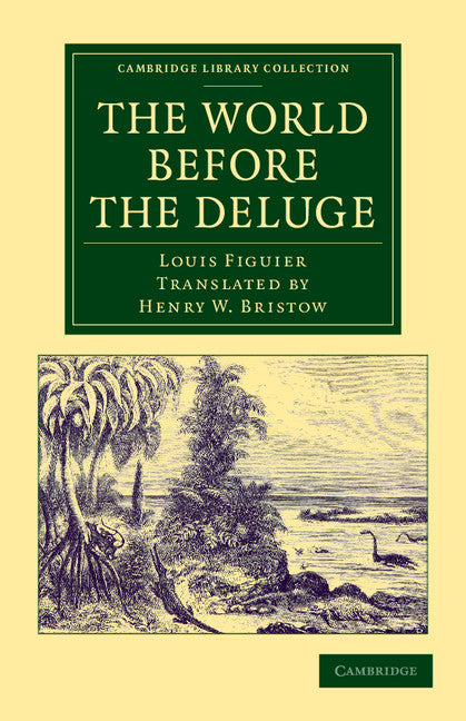 The World before the Deluge (Paperback / softback) 9781108062473