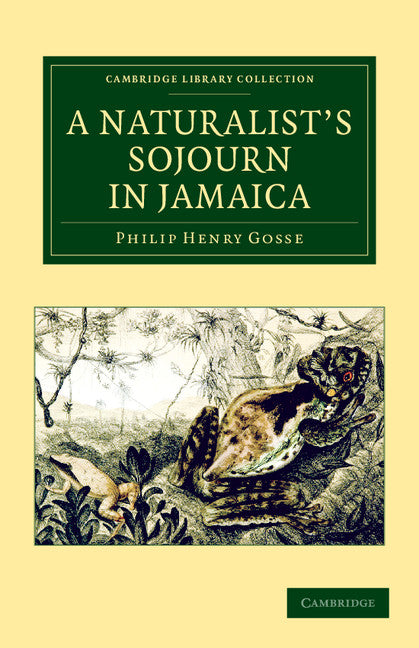 A Naturalist's Sojourn in Jamaica (Paperback / softback) 9781108063739