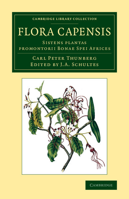 Flora Capensis; Sistens plantas promontorii Bonae Spei Africes (Paperback / softback) 9781108067799