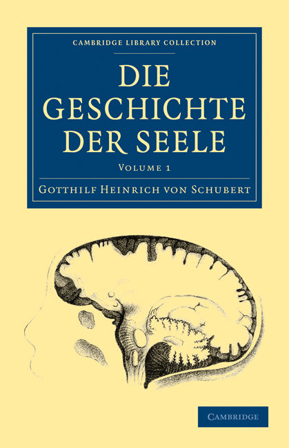 Die Geschichte der Seele (Paperback / softback) 9781108072816