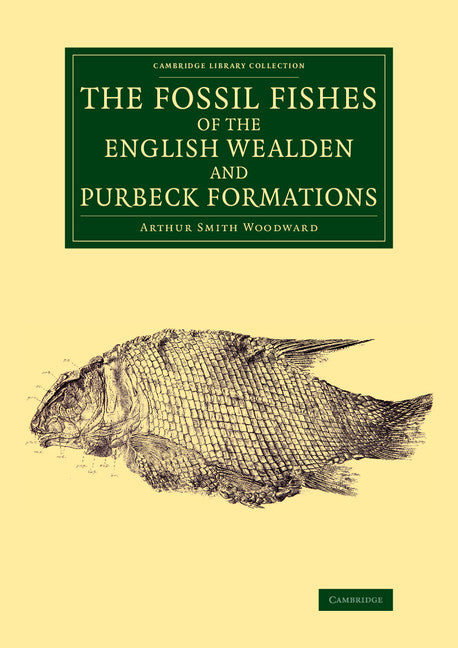 The Fossil Fishes of the English Wealden and Purbeck Formations (Paperback) 9781108076944