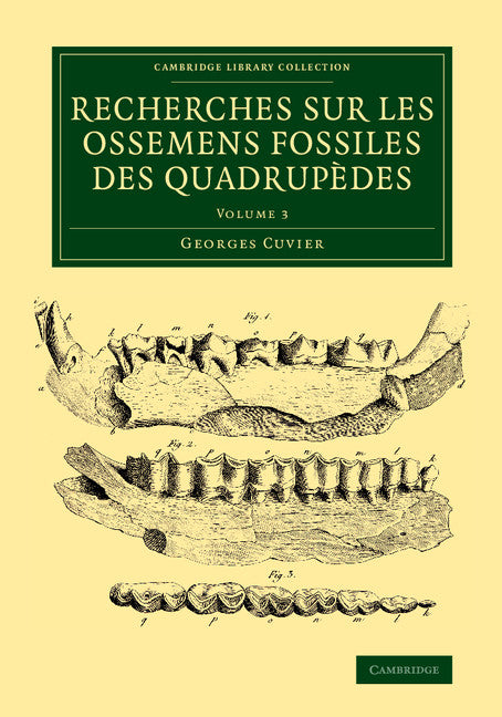 Recherches sur les ossemens fossiles des quadrupèdes (Paperback / softback) 9781108083775