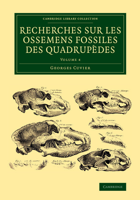 Recherches sur les ossemens fossiles des quadrupèdes (Paperback / softback) 9781108083782
