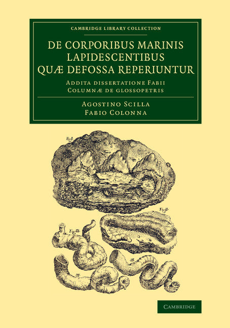 De corporibus marinis lapidescentibus quæ defossa reperiuntur; Addita dissertatione Fabii Columnæ de glossopetris (Paperback / softback) 9781108084833