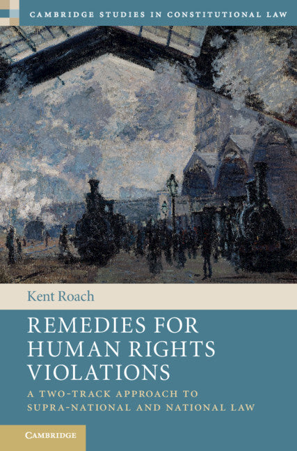 Remedies for Human Rights Violations; A Two-Track Approach to Supra-national and National Law (Paperback / softback) 9781108405973