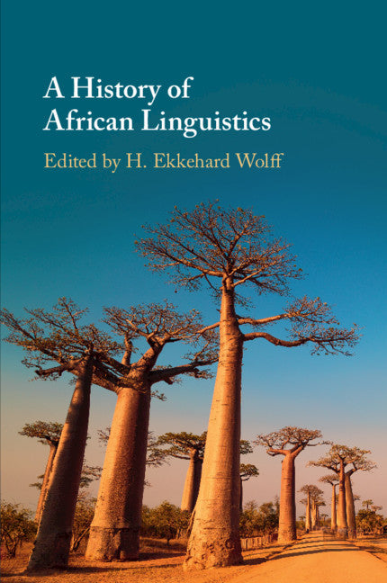 A History of African Linguistics (Paperback / softback) 9781108406178