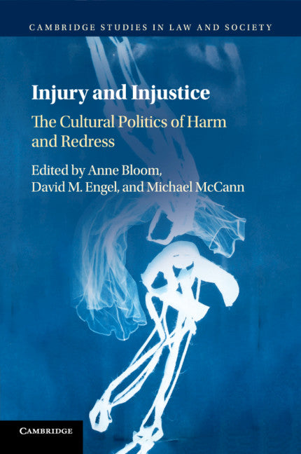 Injury and Injustice; The Cultural Politics of Harm and Redress (Paperback / softback) 9781108413282