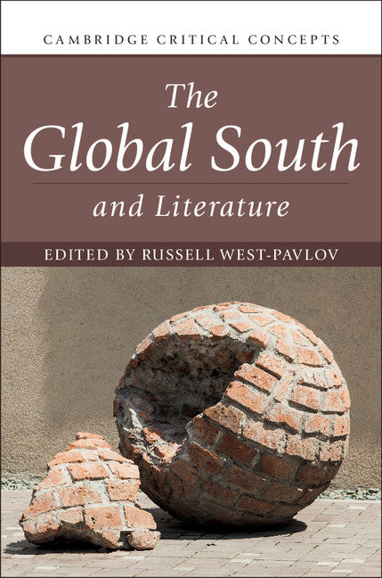 The Global South and Literature (Hardback) 9781108415262