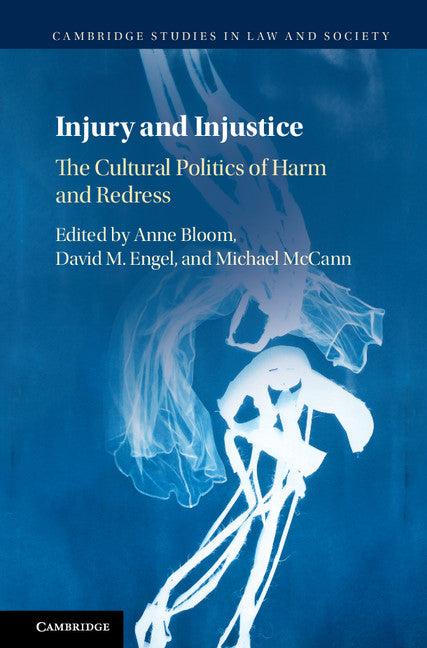 Injury and Injustice; The Cultural Politics of Harm and Redress (Hardback) 9781108420242