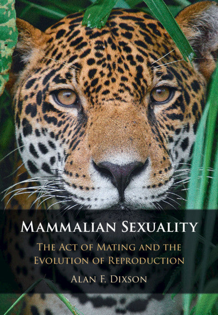 Mammalian Sexuality; The Act of Mating and the Evolution of Reproduction (Hardback) 9781108426183