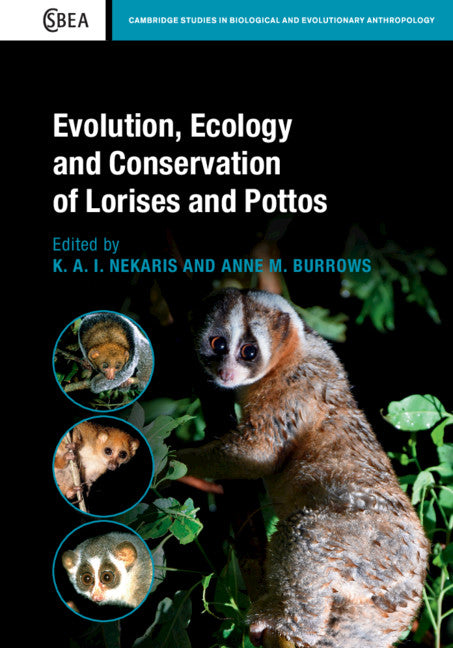 Evolution, Ecology and Conservation of Lorises and Pottos (Hardback) 9781108429023