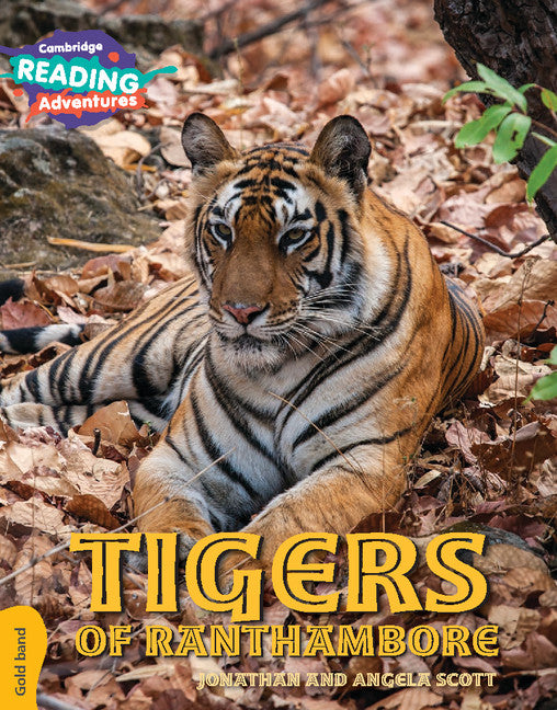 Cambridge Reading Adventures Tigers of Ranthambore Gold Band (Paperback / softback) 9781108436137