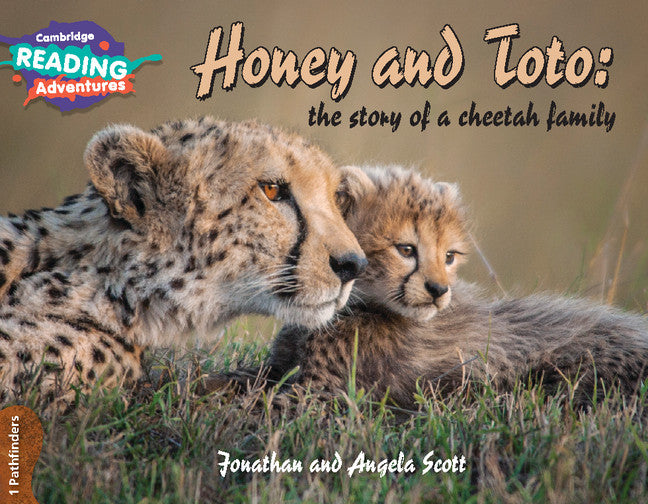 Cambridge Reading Adventures Honey and Toto: The Story of a Cheetah Family 1 Pathfinders (Paperback / softback) 9781108436151