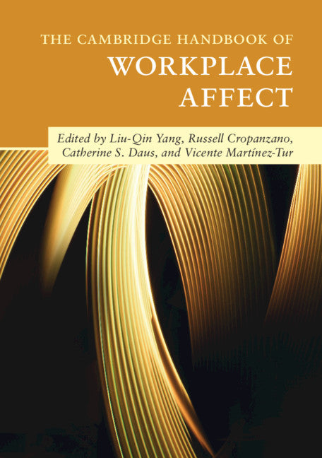 The Cambridge Handbook of Workplace Affect (Paperback / softback) 9781108463782