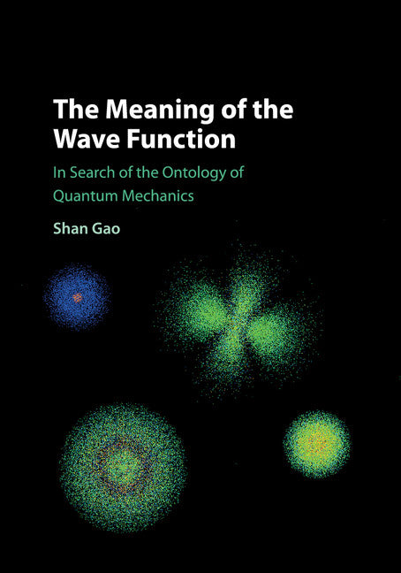The Meaning of the Wave Function; In Search of the Ontology of Quantum Mechanics (Paperback / softback) 9781108464239