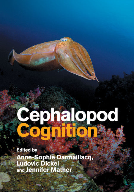 Cephalopod Cognition (Paperback / softback) 9781108464697