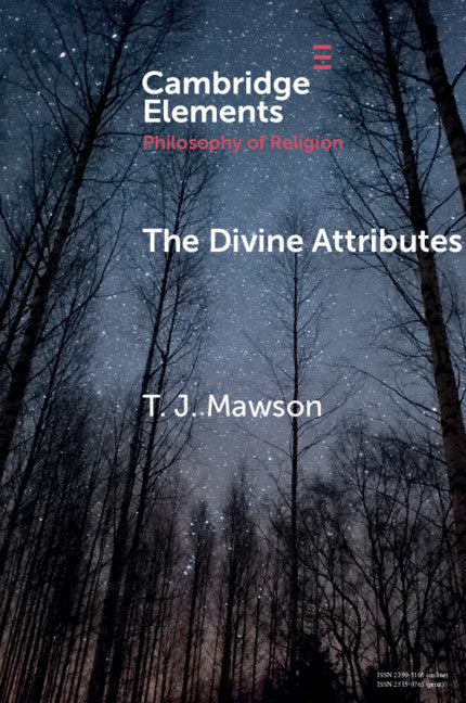 The Divine Attributes (Paperback / softback) 9781108468336