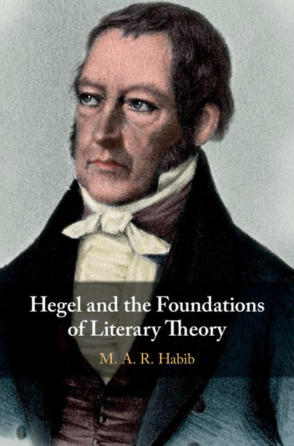 Hegel and the Foundations of Literary Theory (Hardback) 9781108471381