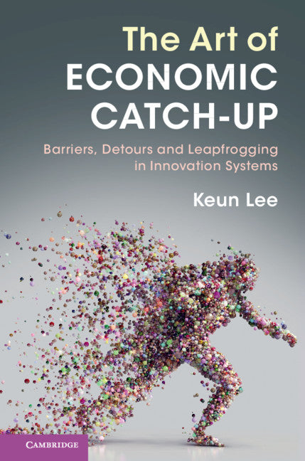 The Art of Economic Catch-Up; Barriers, Detours and Leapfrogging in Innovation Systems (Hardback) 9781108472876