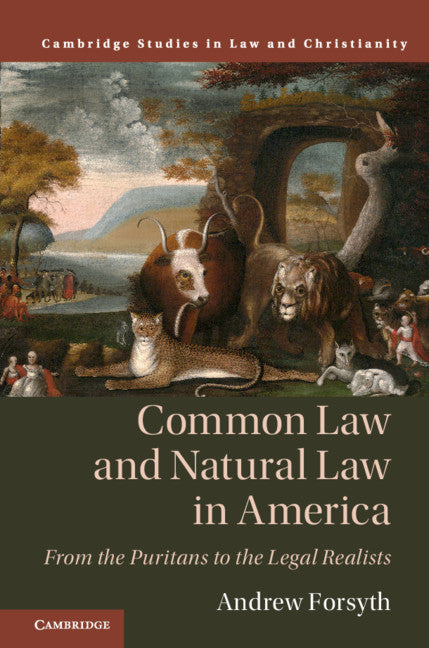 Common Law and Natural Law in America; From the Puritans to the Legal Realists (Hardback) 9781108476973