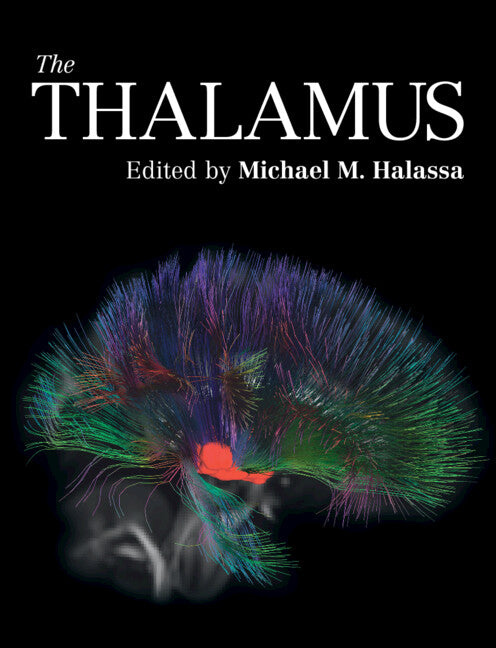 The Thalamus (Hardback) 9781108481564