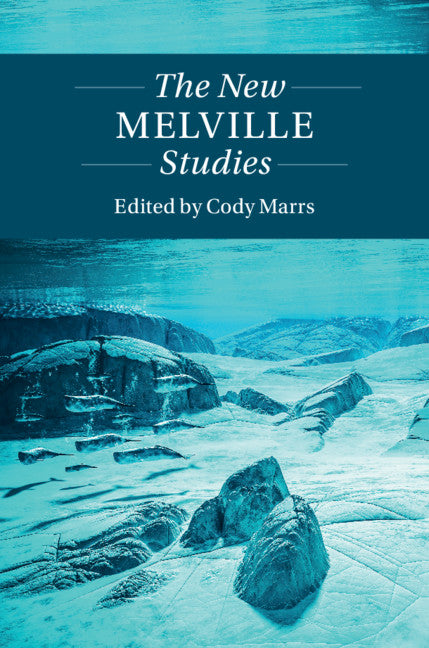 The New Melville Studies (Hardback) 9781108484039