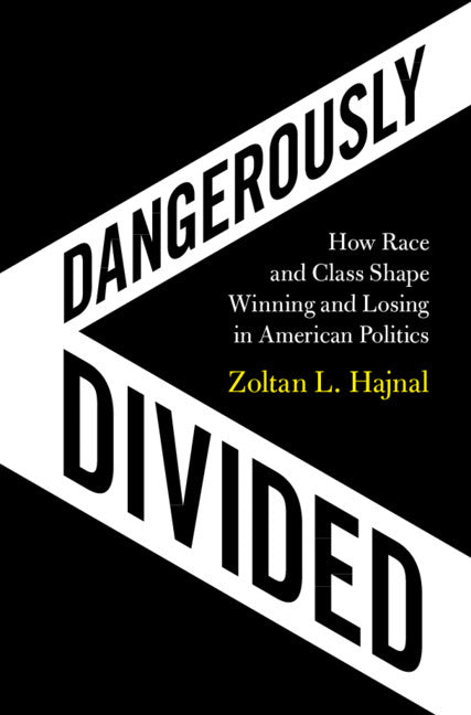 Dangerously Divided; How Race and Class Shape Winning and Losing in American Politics (Hardback) 9781108487009