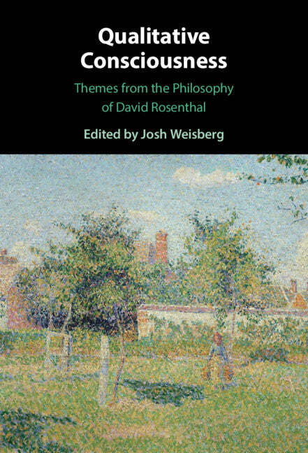 Qualitative Consciousness; Themes from the Philosophy of David Rosenthal (Hardback) 9781108487832