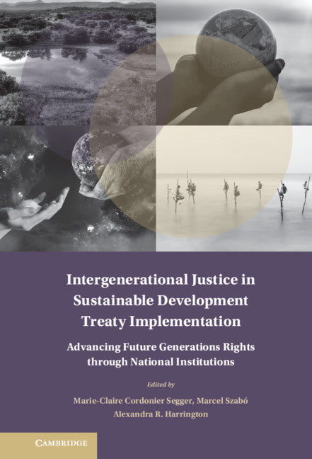 Intergenerational Justice in Sustainable Development Treaty Implementation; Advancing Future Generations Rights through National Institutions (Hardback) 9781108488020