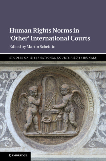 Human Rights Norms in ‘Other' International Courts (Hardback) 9781108499736