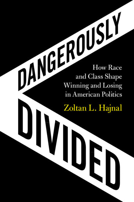 Dangerously Divided; How Race and Class Shape Winning and Losing in American Politics (Paperback / softback) 9781108719728