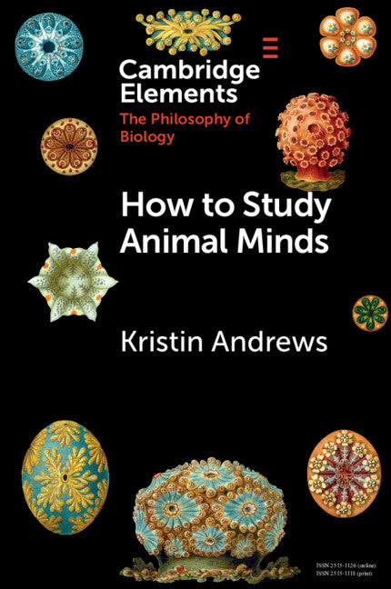 How to Study Animal Minds (Paperback / softback) 9781108727464