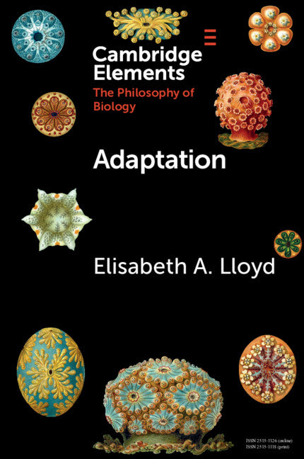 Adaptation (Paperback / softback) 9781108727549