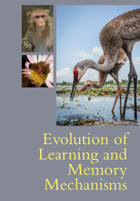 Evolution of Learning and Memory Mechanisms (Paperback / softback) 9781108738316