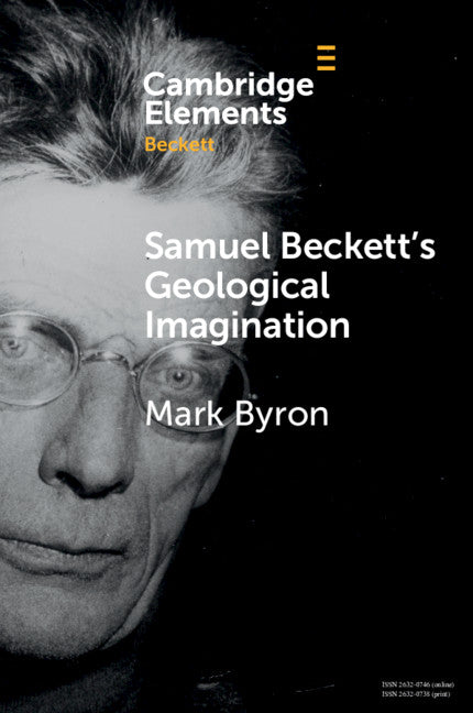 Samuel Beckett's Geological Imagination (Paperback / softback) 9781108738965