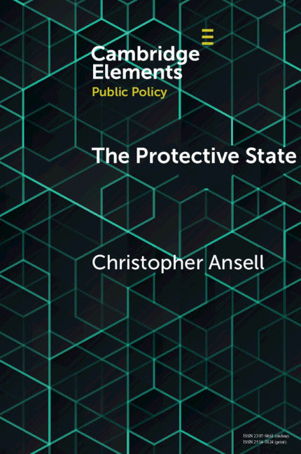 The Protective State (Paperback / softback) 9781108739610