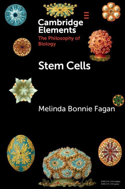 Stem Cells (Paperback / softback) 9781108741712