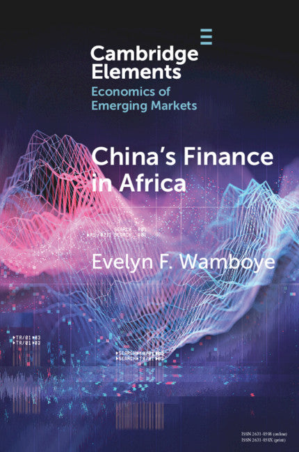 China's Finance in Africa; What and How Much? (Paperback / softback) 9781108789790